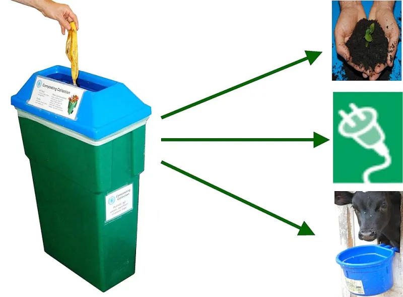 Turn Kitsap's Rainy Season Into Your Garden's Secret Weapon with Home Composting
