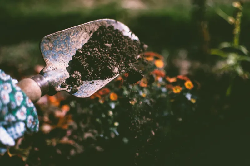 More Fertilizer Isn't More Love: What Kitsap Soil Really Needs (And What's Just Wasting Your Money)