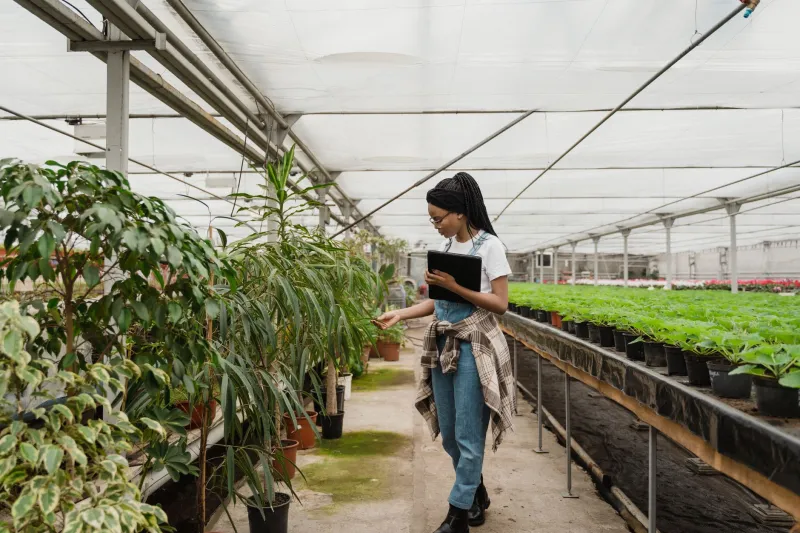 Get Ahead of the Bugs: A Kitsap Gardener's Guide to Preventing Pest Problems Before They Start