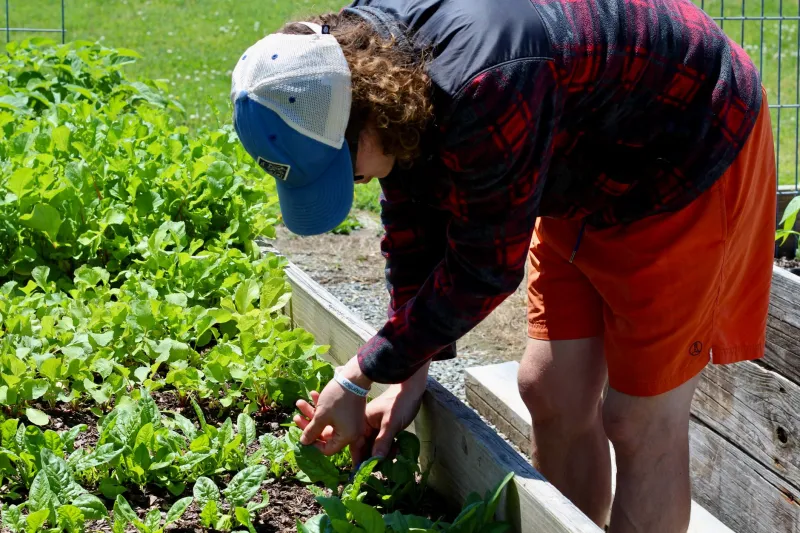Your Year in the Garden: A Month-by-Month Planting Guide Built for Kitsap's Climate
