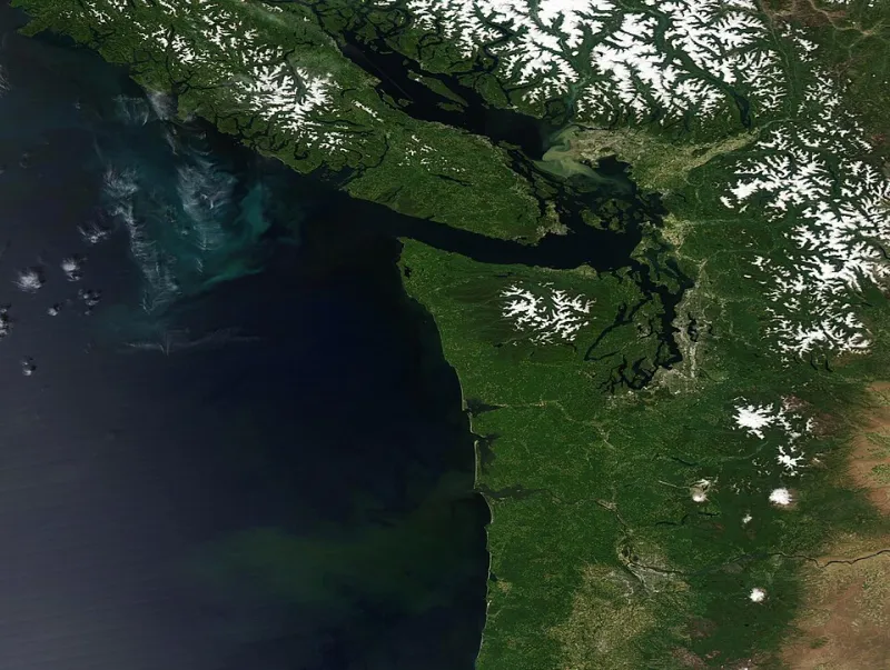 Patience Before Planting: How to Read Kitsap's Wet Spring Soil Before You Dig