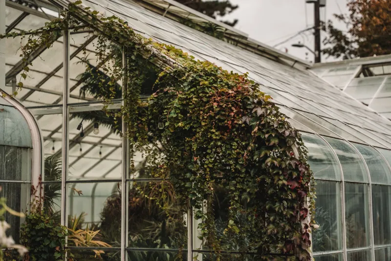 Tear It Down, Build It Right: Your Off-Season Playbook for a Major Kitsap Garden Overhaul